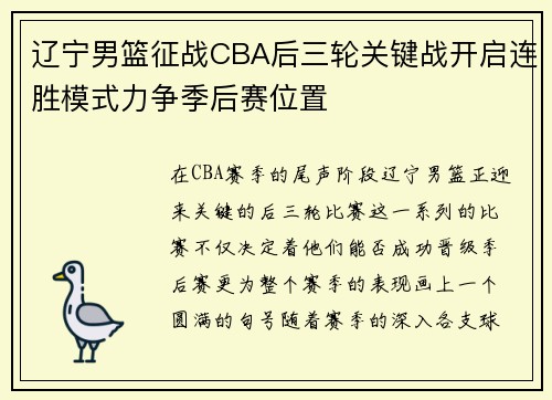 辽宁男篮征战CBA后三轮关键战开启连胜模式力争季后赛位置